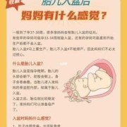 胎儿偏大怎么办（孕晚期胎儿偏大怎么办）