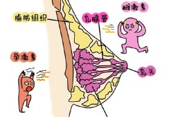 孕期咪咪图（孕妇咪咪）
