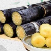 乔迁的甘蔗什么时候能吃,早孕期可以吃甘蔗吗?