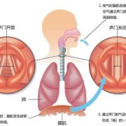 孕32周宝宝打嗝频繁怎么回事,胎儿横膈肌应该什么位置