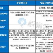 怀孕期保险（平安保险孕妇保险有哪些）