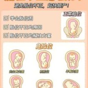 胎儿胎位低（胎儿胎位低有什么影响）