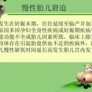 慢性胎儿窘迫原因（慢性胎儿窘迫原因有哪些）