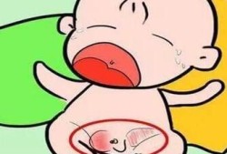 四个月的宝宝蛋蛋一个大一个小怎么了,四个月胎儿睾丸图片大全