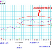 孕期正常体温是多少,受孕期体温会升高吗