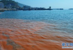 孕期流褐色水（孕期流褐色水样分泌物怎样回事）