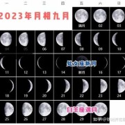 八月的胎儿（2023年8月出生的宝宝属什么）