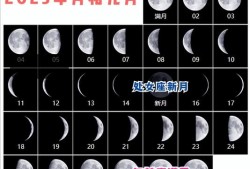 八月的胎儿（2023年8月出生的宝宝属什么）