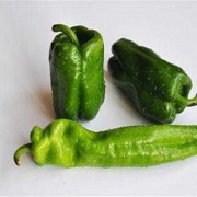 孕妇怀孕能吃青椒吗,孕期可以吃辣椒吗?