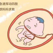 胎儿胎震（胎儿 震动）