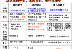 胎儿为什么会基因突变（基因变异是什么原因）