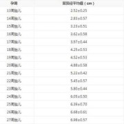 11周胎儿多大（孕11周双顶径1.7孩子大，还是小）