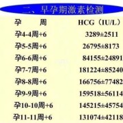 怀孕期间都需要做什么检查（怀孕后要查孕酮，hcg和雌二醇吗）