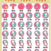 怀孕2个月了一直“见红”，影响胎儿吗,孕期反复流血怎么回事