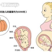 39周宝宝大概有几斤,39周胎儿图片