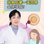 怀孕期间还排卵吗（怀孕期间还排卵吗 还会再次怀孕吗）