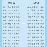 双胞胎儿子取名（双胞胎儿子取名字大全成语）