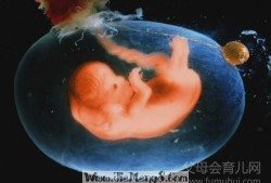 孕妇梦见胎儿（孕妇梦见胎儿）