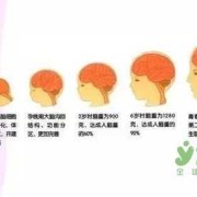 孕贝怎么使用,怎样胎教提高胎儿智商的方法