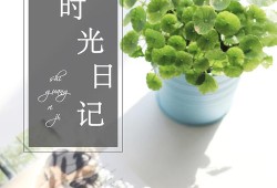 孕妇可以用植物日记酵母的护肤品吗,孕期日记怎么写100字