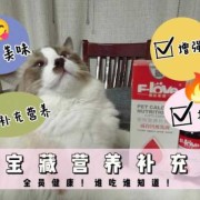 小猫不吃钙片怎么办,孕期不吃钙片对宝宝有影响吗