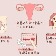 孕妇肚子发硬是什么原因,孕期子宫变硬怎么回事