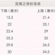 37周胎儿腹围标准值（37周胎儿腹围标准值）