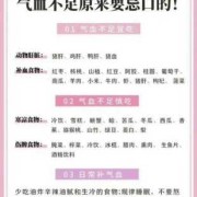 孕期如何补气血,孕期气血不足怎么补