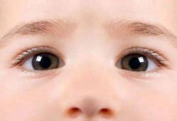 5个月宝宝眼睛眼屎多,怀孕5个半月胎儿有多重