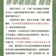 孕期被裁员（孕期被裁员劳动仲裁会赔偿多少）