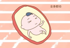 胎儿动个不停（胎儿动个不停）