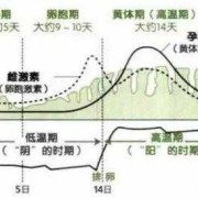 孕期雌激素（孕期雌激素水平变化规律）