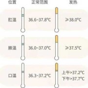 怀孕期间体温是多少（怀孕期间体温是多少度）
