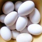 孕期鹅蛋多久吃一个（孕期鹅蛋多久吃一个最好）