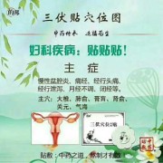 备孕期间能贴三伏贴吗（备孕期间能贴三伏贴吗女性）