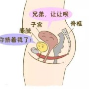 胎儿多少周开始排尿（胎儿多少周开始排尿）
