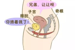 胎儿多少周开始排尿（胎儿多少周开始排尿）