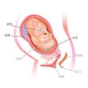 37周后胎儿还会长多少斤（孕37周后面还会猛涨吗）