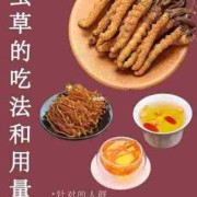 冬虫夏草孕妇可以吃吗,孕妇几个月吃虫草最好