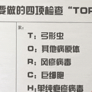 孕期查弓形虫（孕期查弓形虫多少钱）