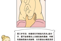 摸胎儿会动（摸胎儿会动）