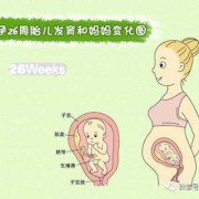 怀孕26周胎儿大小多少算是正常？请问正常的情况胎儿多大呢,二十六周胎儿有多大图片