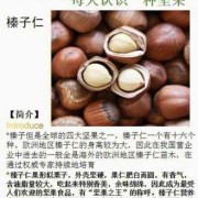 榛子仁孕妇可以吃吗？都说要吃点坚果,孕妇吃榛子对胎儿好吗有影响吗