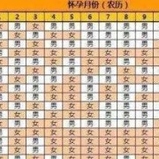 胎儿心率看男孩女孩（胎儿心率看男孩女孩）