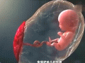 胎儿胎动是什么感觉（18周的胎儿胎动是什么感觉）