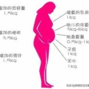孕期体重图（孕期体重图片）
