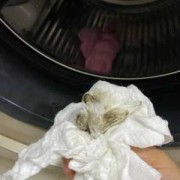 洗衣粉对胎儿有影响吗（洗衣粉对胎儿有影响吗）