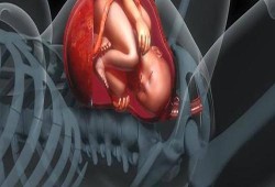 37周胎儿有多重（37周胎儿有多重正常）
