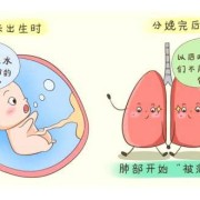 胎儿在羊水里怎么呼吸（胎儿在羊水里怎么呼吸视频）