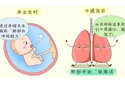 胎儿在羊水里怎么呼吸（胎儿在羊水里怎么呼吸视频）